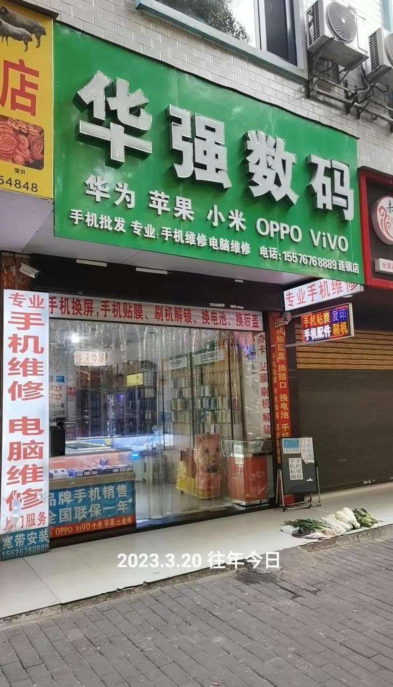 揭秘数码崽：数字时代下的年轻表达与网恋称呼