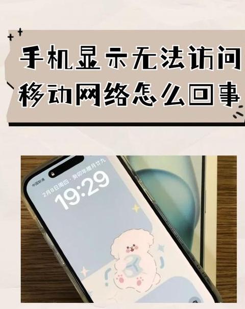 vivo手机WiFi连接正常却无法上网？排查及解决方法