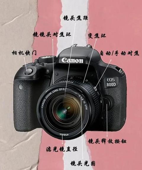 入门级单反相机推荐：新手摄影好帮手