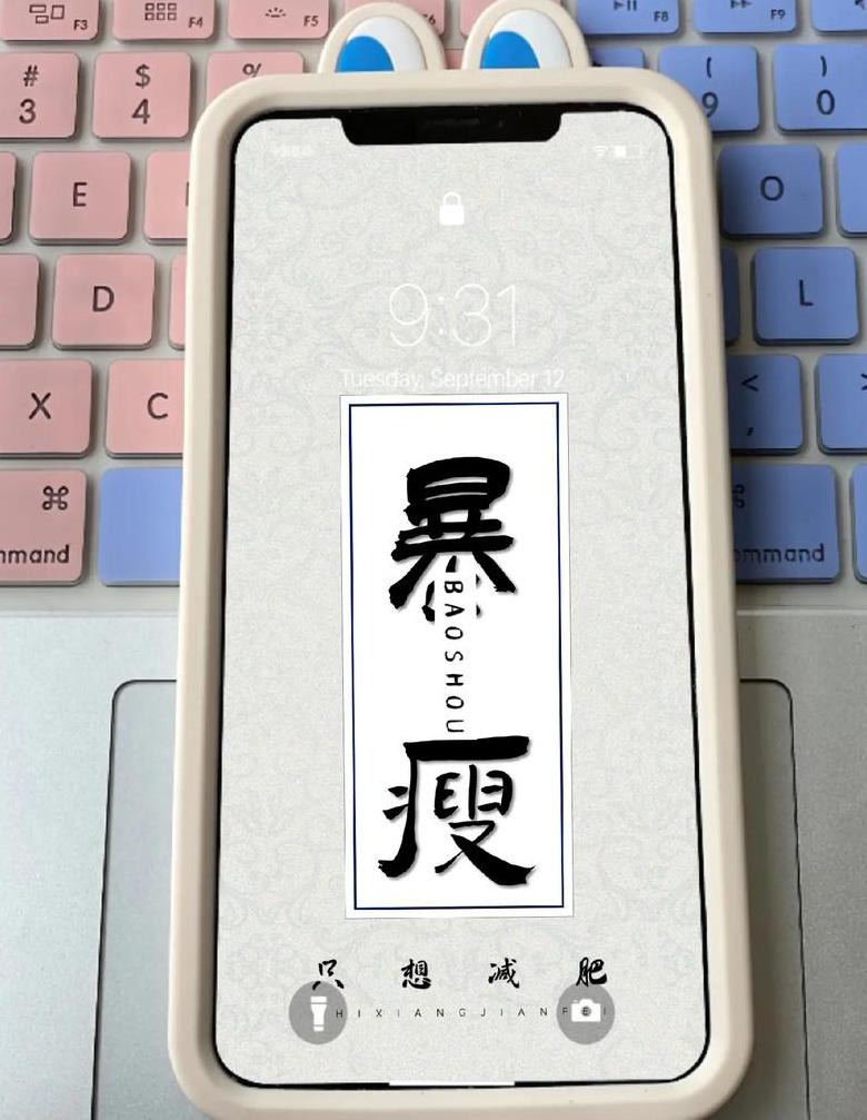 2024年LCD手机推荐：精选护眼屏机型盘点