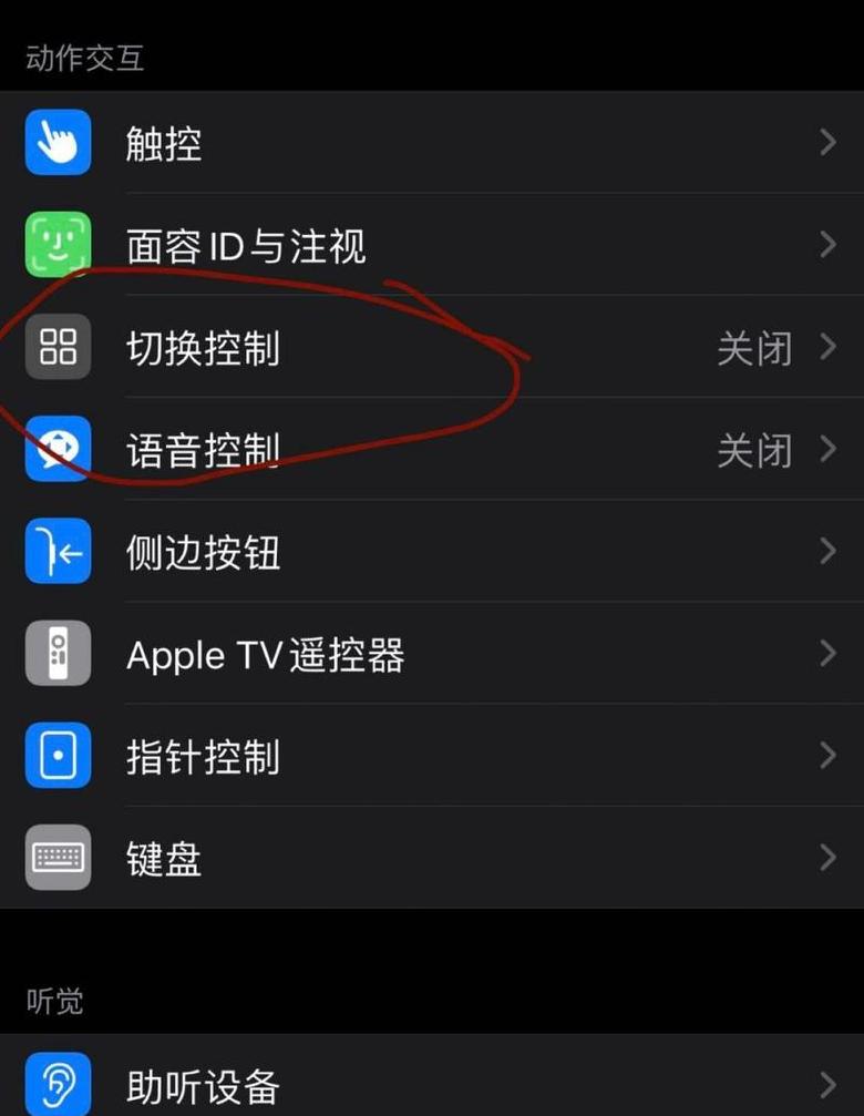 苹果平板辅助触控功能设置教程