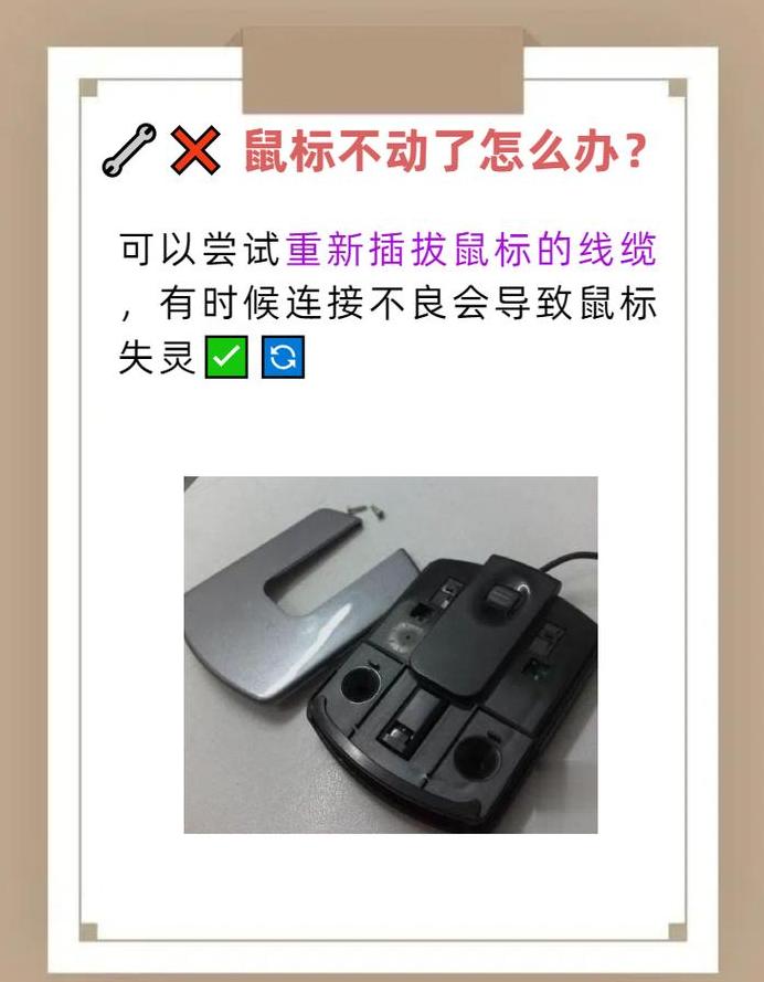 电脑鼠标灯亮无反应？排查与解决指南