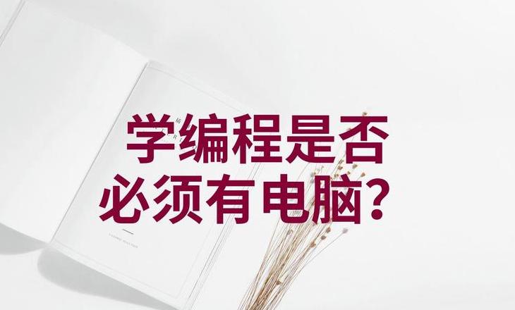小学生编程利弊解析及12岁孩子编程价值探讨