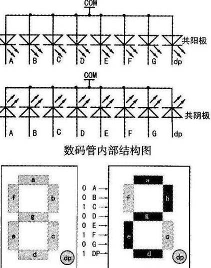 如何判断数码管的共阴极共阳极