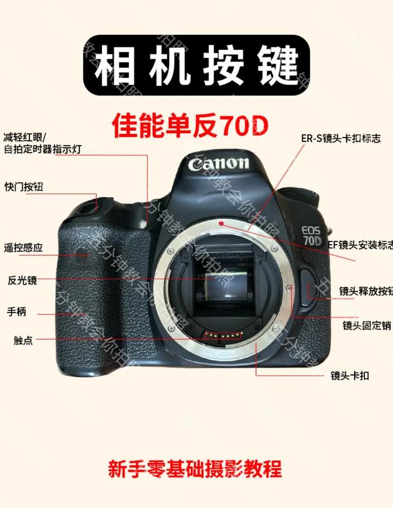 佳能550D使用指南：轻松上手拍摄技巧
