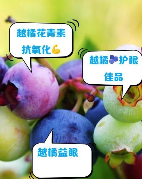 OLEDvsAMOLED：手机屏幕优劣解析