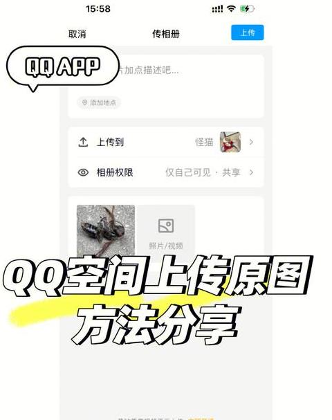 WPS上传文件失败原因及解决方法大全