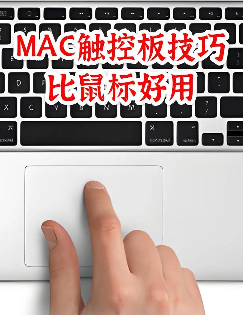 MacBook触控板失灵怎么办？实用解决攻略