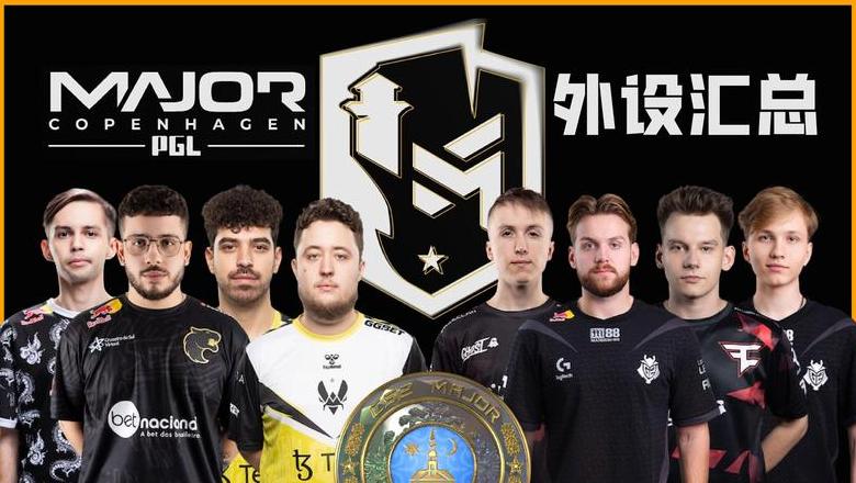 国内CSGO设置宝典：壁炉网站深度解析