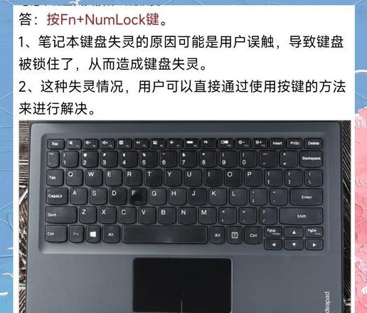 电脑键盘鼠标失灵排查与解决指南